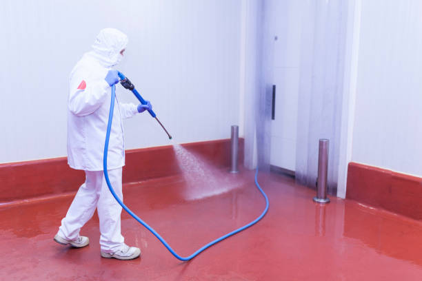 Professional Pressure Washing in New Cassel, NY